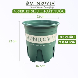 Combo 3 chậu trồng cây MONROVIA 2 Gallon, chậu nhựa trồng cây, cây cảnh, hoa để bàn, ban công, sân vườn, dòng M-series thumbnail