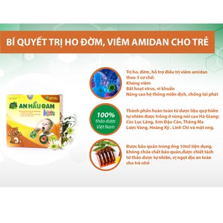 🔹Ống Siro AN HẦU ĐAN Kids - Hộp 10 Ống