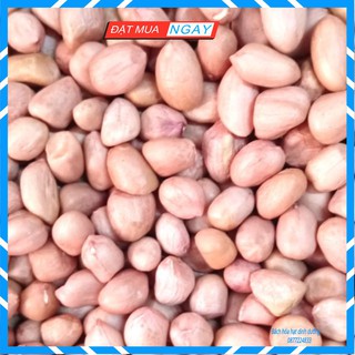 LẠC NHÂN SẤY CHÍN/ĐẬU Phộng bóc vỏ sấy chín thơm ngon đóng túi 100gr