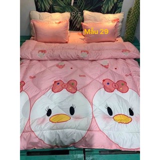 ga giường cotton