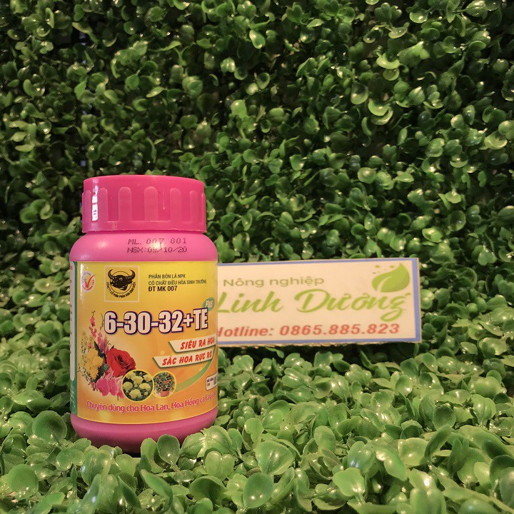 Phân bón đầu trâu NPK 6-30-32+TE lọ 100g #kichoa, #duonghoa, #hoa