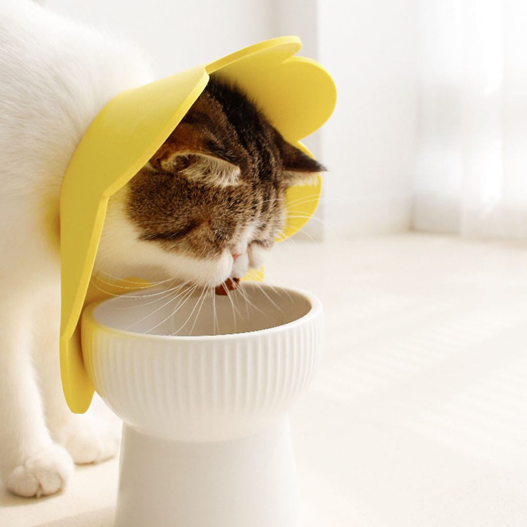 Vòng cổ chống liếm bằng EVA hình bông hoa bảo vệ thú cưng