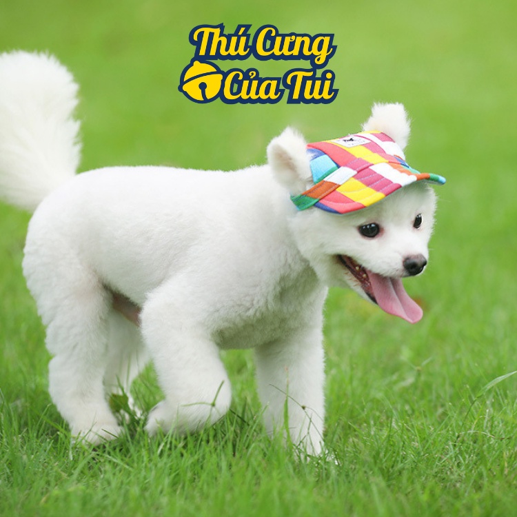 Mũ Nón Lưỡi Trai Cho Thú Cưng Chó Mèo - Thú cưng của tui
