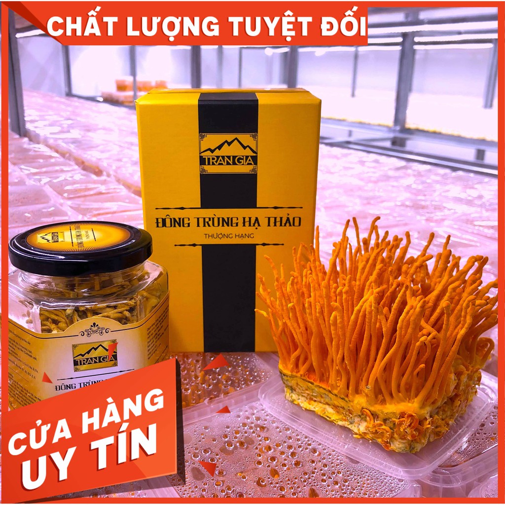 Đông trùng hạ thảo Trần Gia ★ [ Chính hãng ] sấy lạnh loại 1