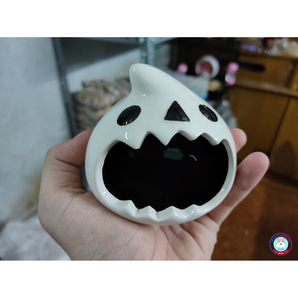 Nhà ngủ sứ cho Hamster