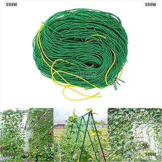 Lưới trồng cây dây leo bằng nylon màu xanh lá