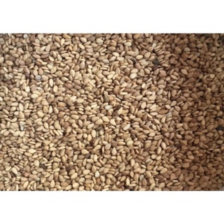 1kg Vừng (vỏ) vàng siêu sạch