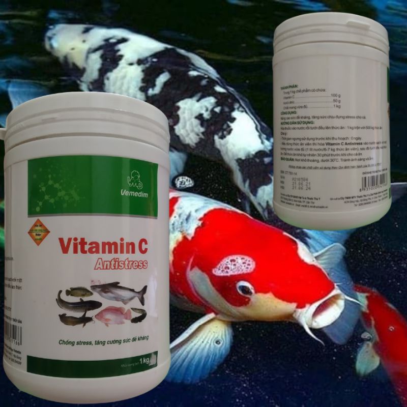 Vitamin C cho cá, dùng cho cá koi, cá vàng. Chống tress, tăng đề kháng