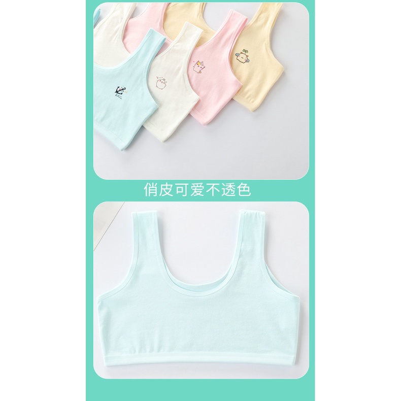 Áo lá học sinh cấp 1, cấp 2 - không mút, vải cotton - Danangsale