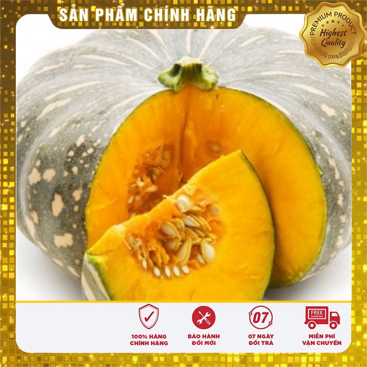 Hạt giống Bí đỏ quả tròn