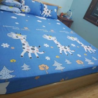 Drap chống thấm cao cấp hàn quốc