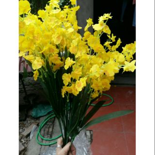 combo 20 cành hoa lan vũ nữ siêu Hót