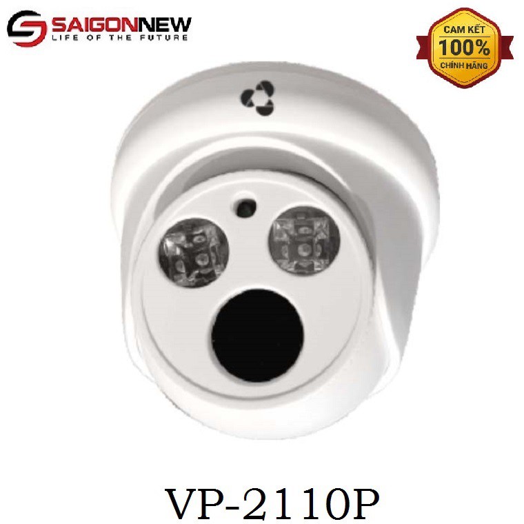 Camera IP Dome 2MP Vantech VP-2110P