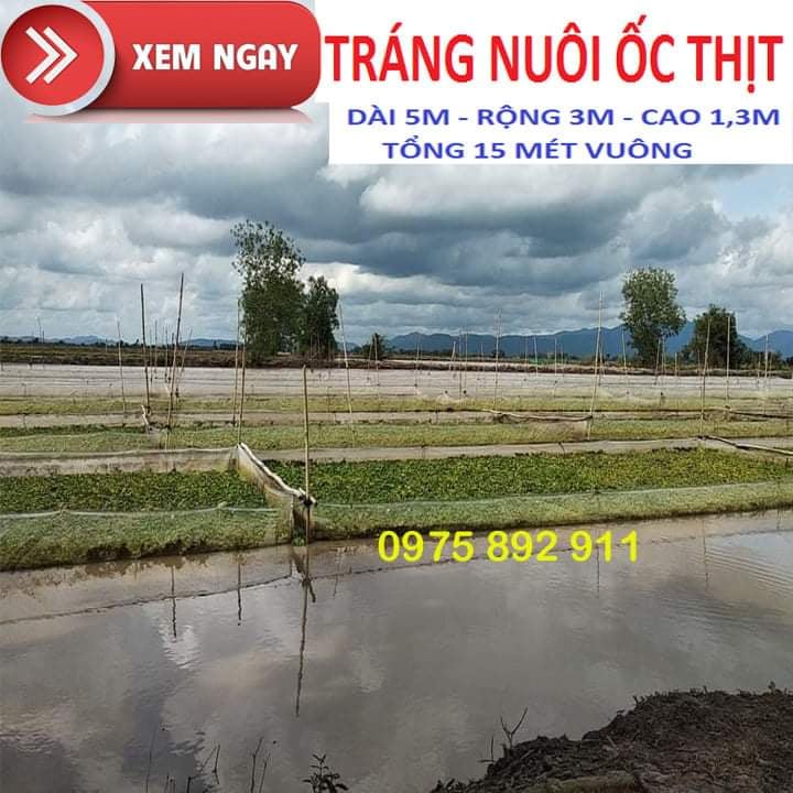 Tráng,vèo nuôi ốc , ếch , cá lươn