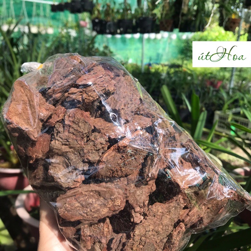 Vỏ thông trồng lan (loại 1) Gói 0.5kg