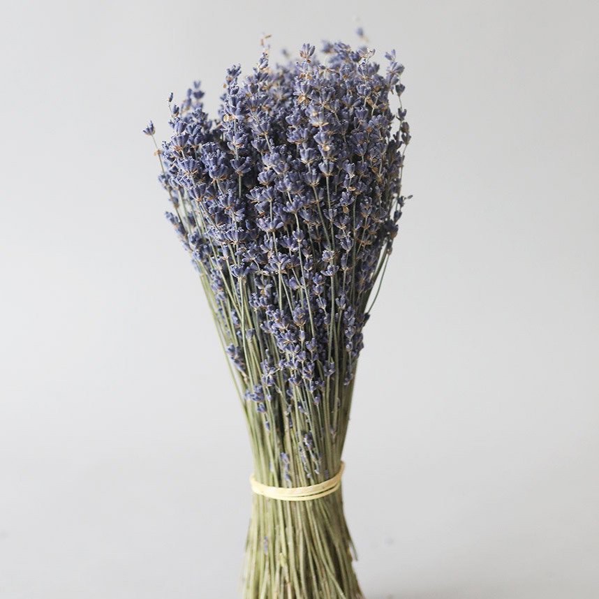 Hoa lavender khô nguyên cành 150gr ⭐ Hoa lavender khô trang trí ⭐