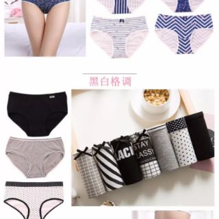 Set 7 quần chip cotton cực xinh