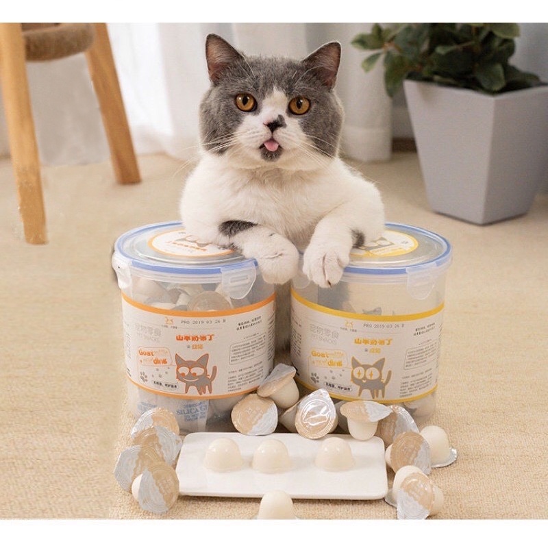Pudding sữa dê bổ sung canxi cho thú cưng