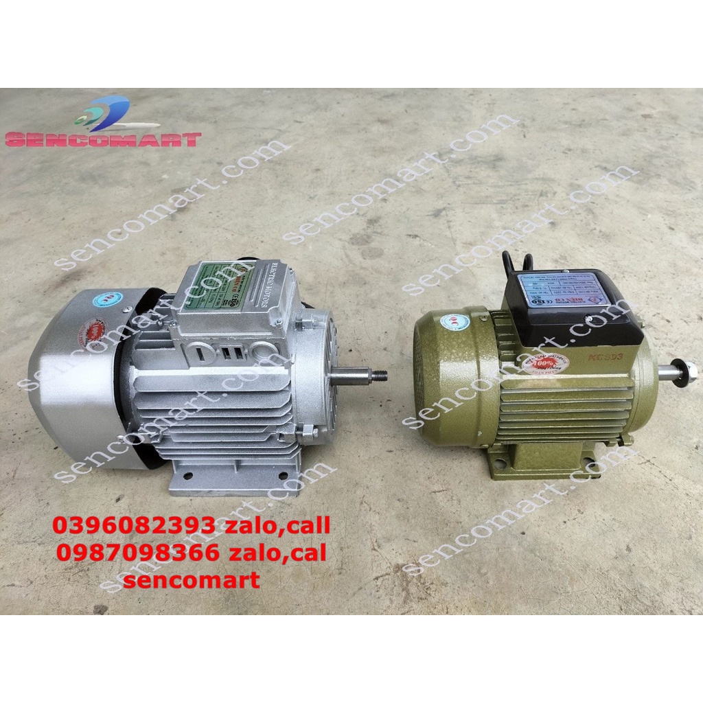 Chuyên cung cấp MOTOR TOÀN PHÁT 1100W  2900v/p