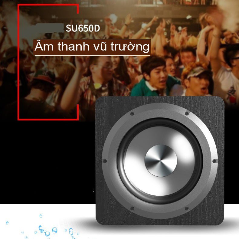 Loa siêu trầm subwoofer 100W Ibass - Loa sub điện công suất 100w