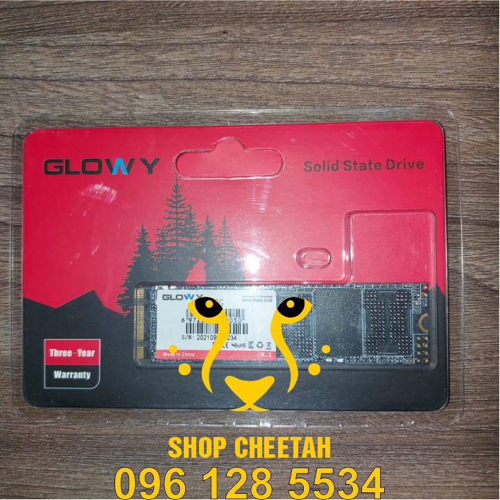 Ổ cứng SSD M2.NGFF Gloway 256GB (SATA III) – CHÍNH HÃNG – Bảo hành 3 năm - SSD M2