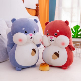Order set đồ tổng hợp
