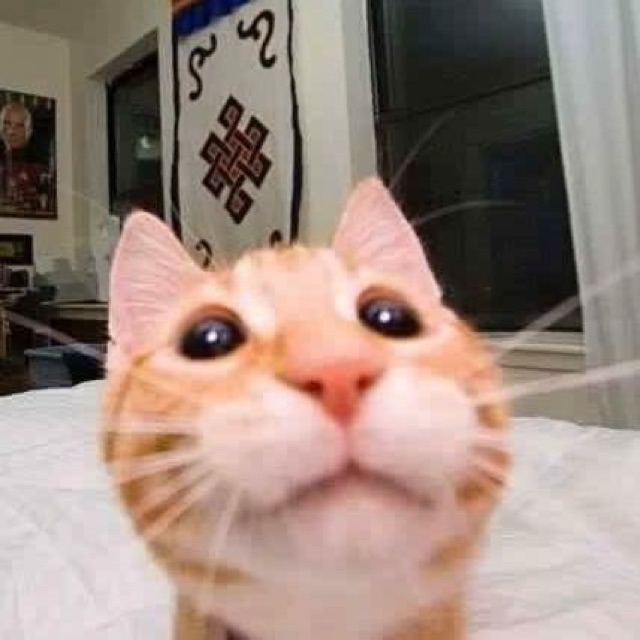 CamoiBeauty_Hàng Thái & Trung