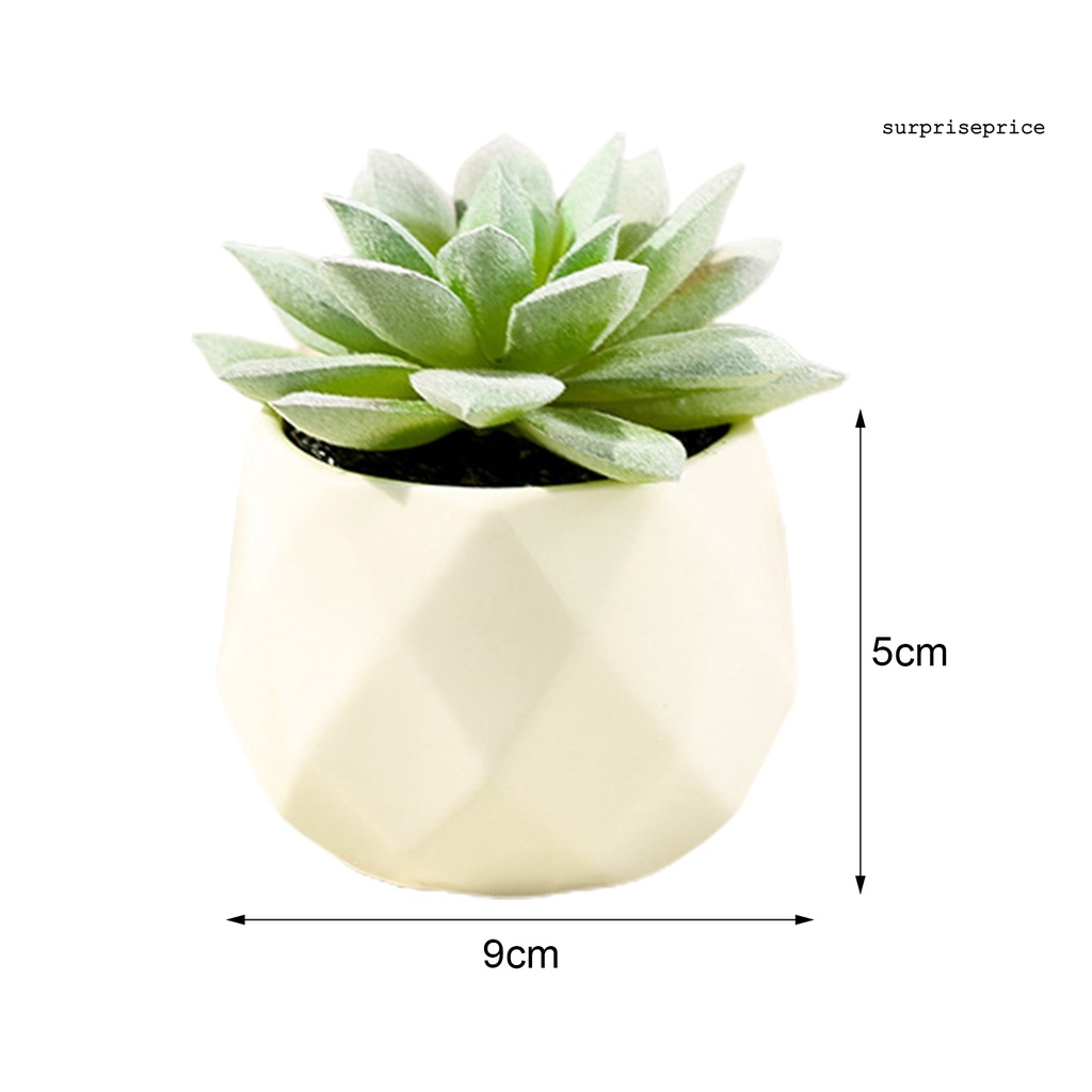 Chậu cây sen đá giả mini nhiều màu sắc trang trí nhà cửa