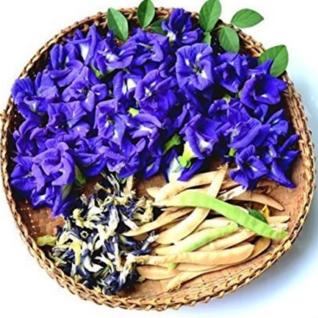 hạt giống hoa đậu biếc 50 hạt