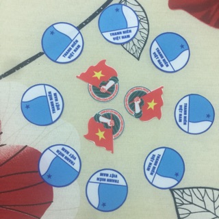 Huy hiệu Hội LHTN Việt Nam dán keo lên áo