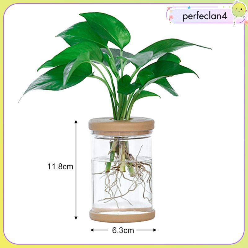 Chậu Hoa Để Bàn Trung Tâm
