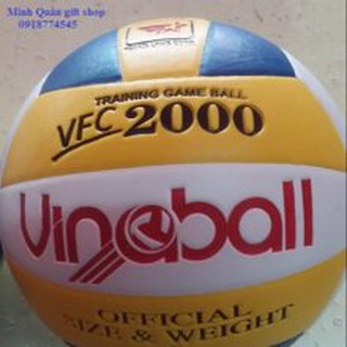 QUẢ BÓNG CHUYỀN VB2000