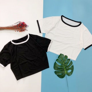 Áo croptop bo viền ( kèm clip + ảnh thật)