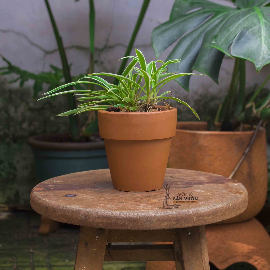 Chậu đất nung, LY GỜ (BASIC) 11cm _ Chất liệu gốm đất nung tự nhiên. Xuất xứ Bình Dương