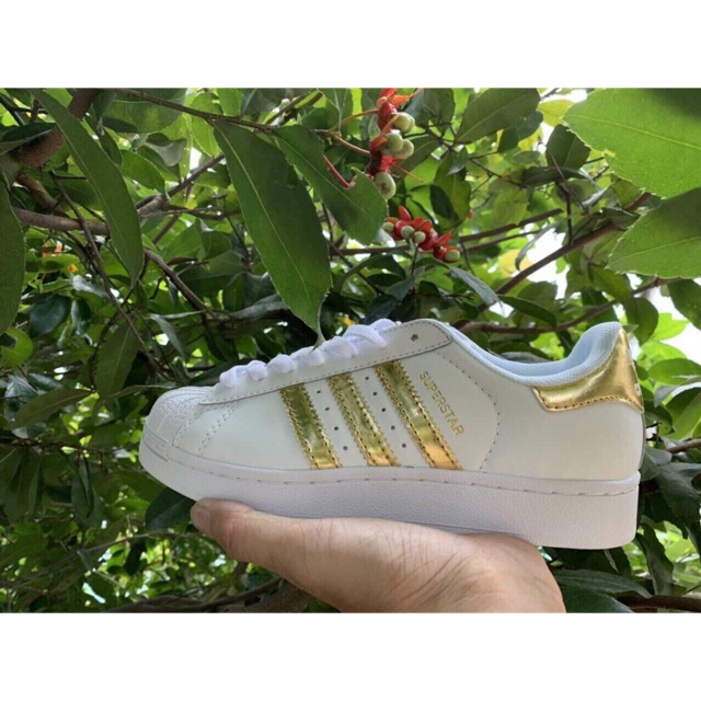 Giày sneaker superstar màu gold