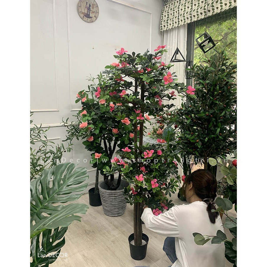 💥 Cây giả - Cây Hoa đỗ quyên trang trí nhà, ban công đẹp Lan Decor 170cm - LC2450