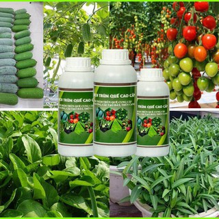DỊCH TRÙN QUẾ HỮU CƠ 5000ML- CHO RAU