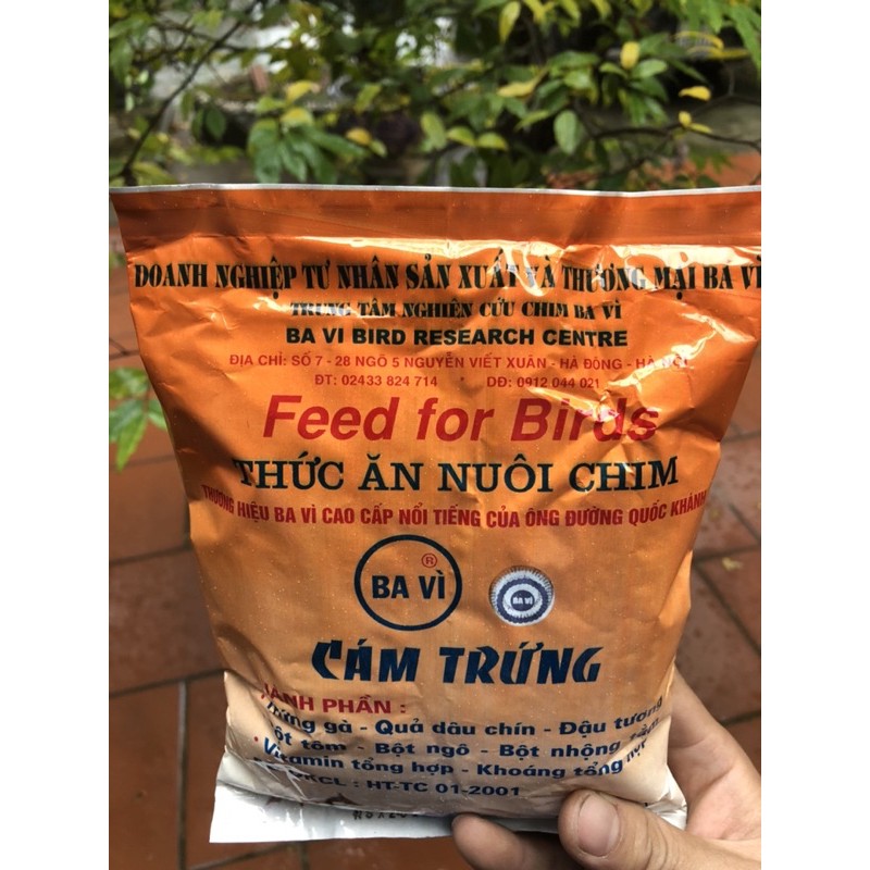 Cám trứng Ba Vì  thức ăn chim cảnh - Mồi câu cá
