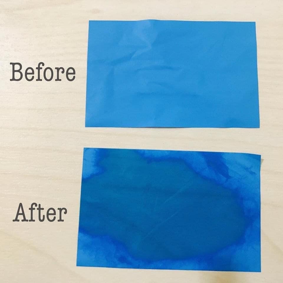 FILM THẤM DẦU THE FACE SHOP | BigBuy360 - bigbuy360.vn