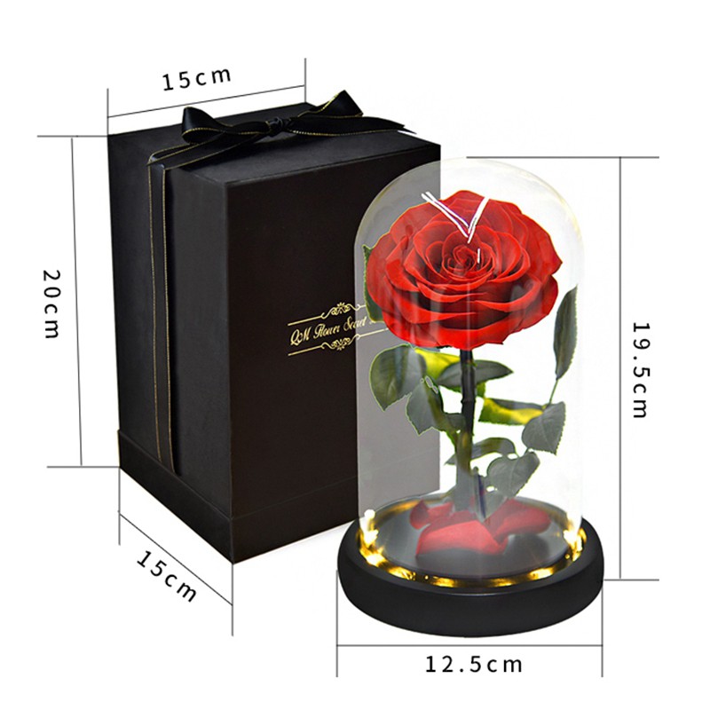 Forever Preserved Flower in Glass Dome Lamp for Gift Box,Pink