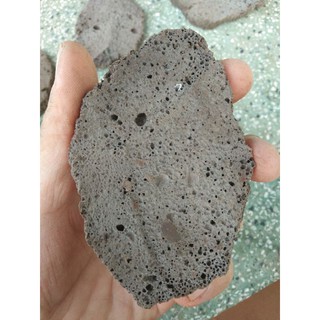 Giá thể bucep- Giá thể nham thạch.