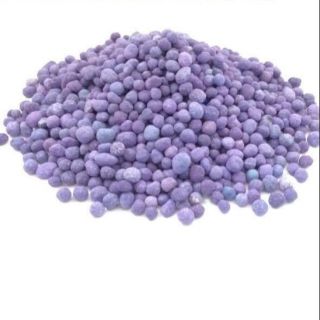 1kg Phân tím Đức Novatec nhập khẩu chuyên bón hoa hồng, dâu tây