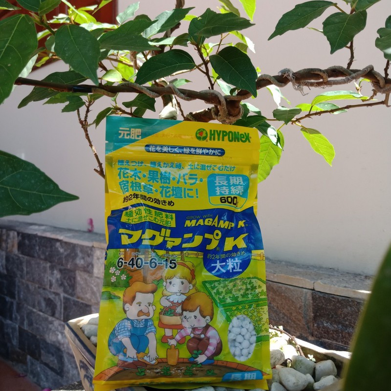 Phân bón tan chậm Hyponex Magamp 6 -40 -6 -15 của Nhật cho hoa lan ,cây kiểng