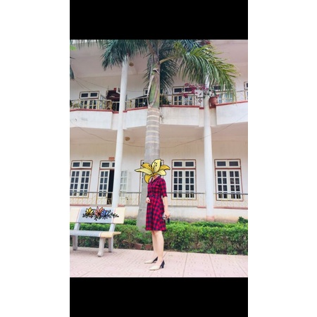 Váy kẻ Zara size S