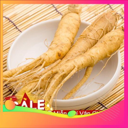 Hạt Giống Nhân Sâm Hàn Quốc - 4 Hạt  VIETGAR
