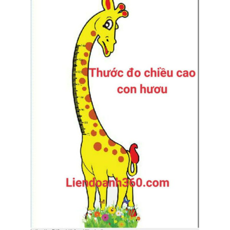thước đo chiều cao con hươu