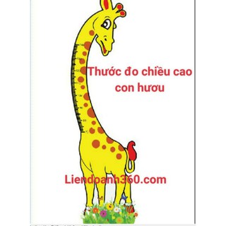 thước đo chiều cao con hươu