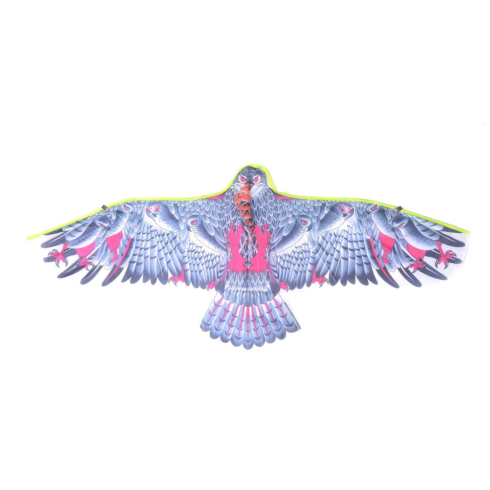 Chú Chim Đại Bàng Cỡ Lớn Độc Đáo