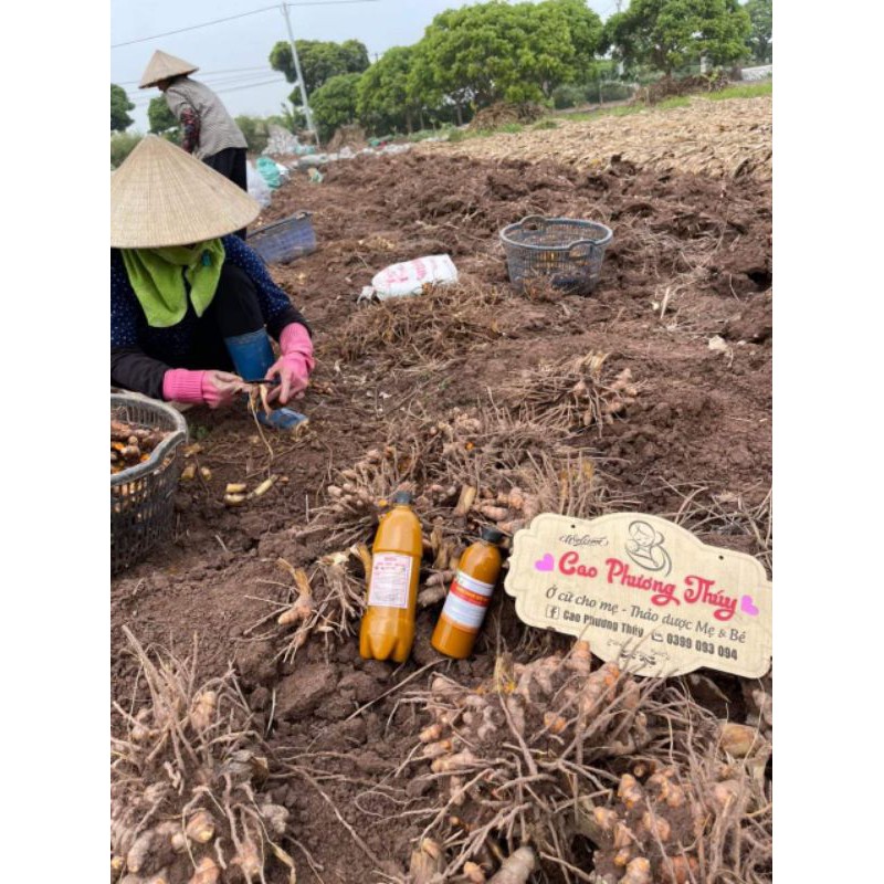 Cốt gừng nghệ gấc hạ thổ body 1l | BigBuy360 - bigbuy360.vn