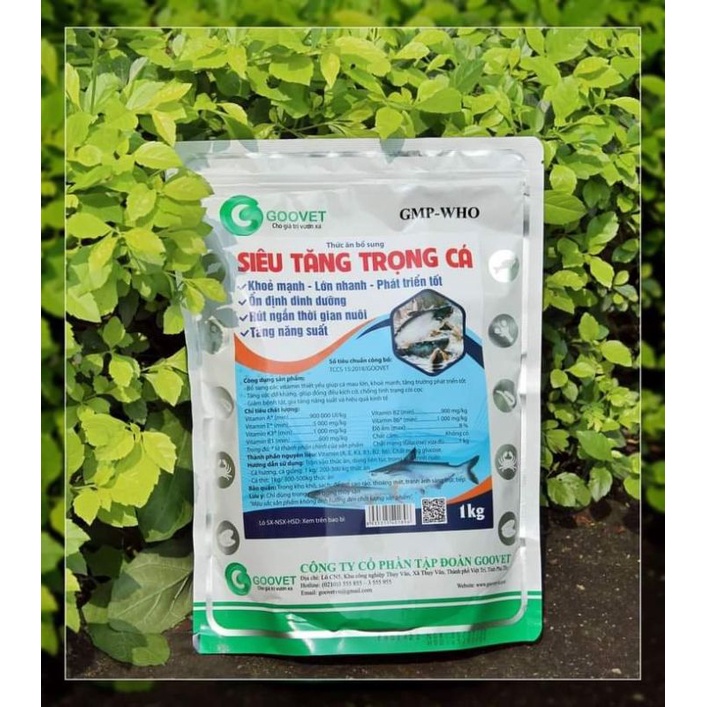 Siêu tăng trọng cá, lớn nhanh 1kg